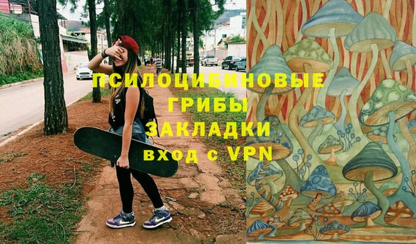 мескалин Богородицк